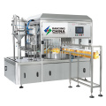 DQ-5 Fully-automatic spout pouch filling capping machine